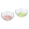 ADERIA Tsugaru Vidro Soda-Lime Glass Apple Small Bowl Set