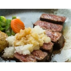 Nonoji ABS Resin Daikon Radish Grater With Container -Kitchen Utensils Store NonojiStainlessSteelRadishGraterLDS 02 5