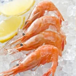 Swan Aluminium Manual Ice Crusher -Kitchen Utensils Store SwanAluminiumManualIceCrusher 3 9ea904ae eac4 4524 95ee 346b19edcade