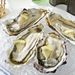 Swan Aluminium Manual Ice Crusher -Kitchen Utensils Store SwanAluminiumManualIceCrusher 4 c19e3ab1 364e 4552 94fb f79454a500a4