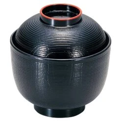 Wakaizumi Shikki Heat-Resistant ABS Resin Soup Bowl 9.3cm