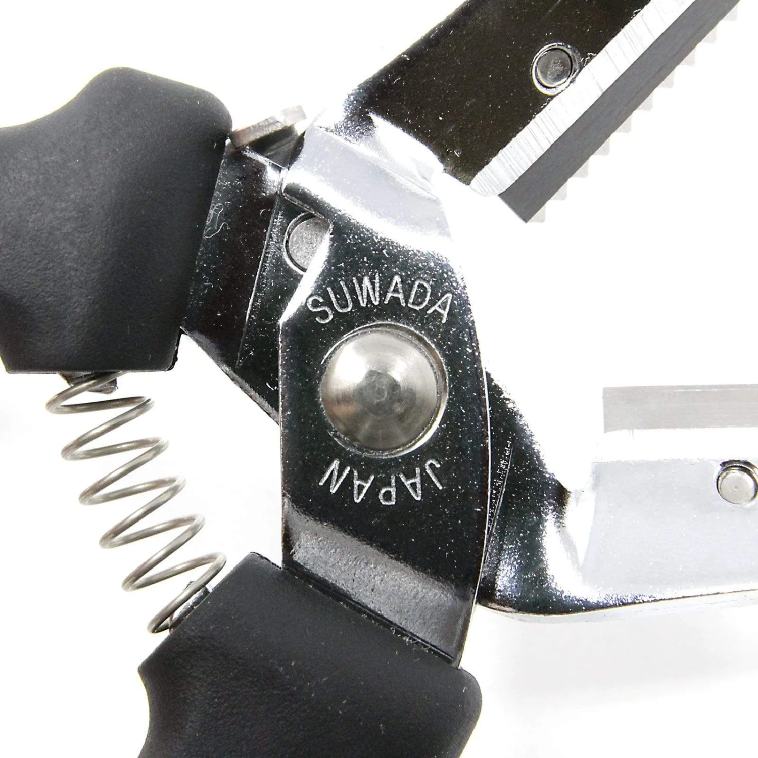 Suwada Chestnut Peeler With Replaceable Blade 7 Suwada Chestnut Peeler With Replaceable Blade - Image 5